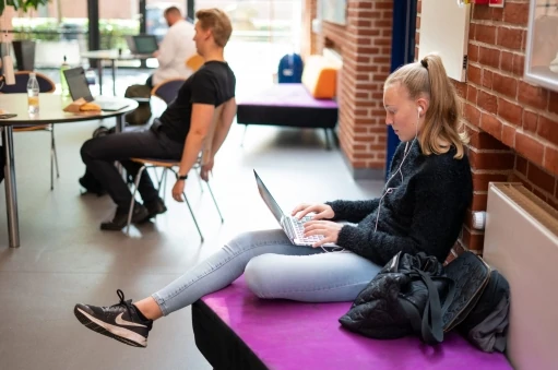 samfundsfag på videregående uddannelser