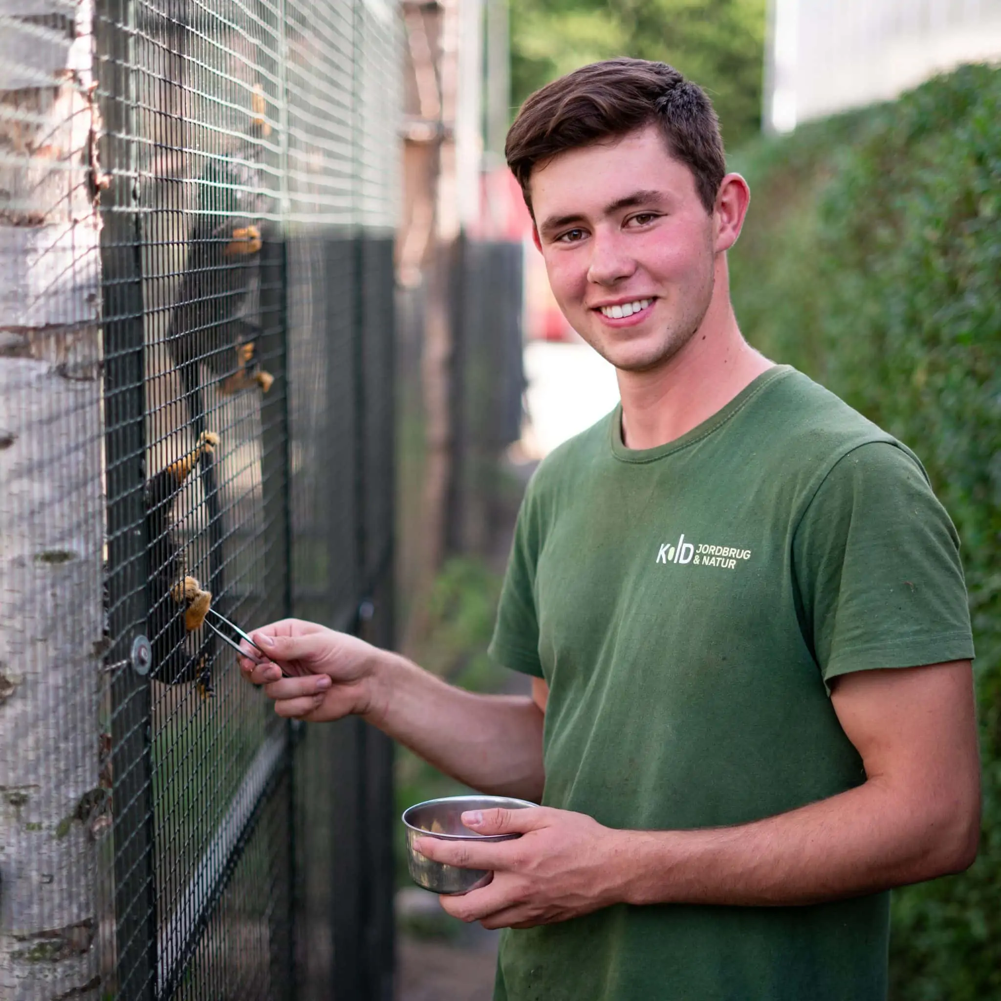 Elev på dyrepasseruddannelsen fodrer skolens aber som en del af undervisningen