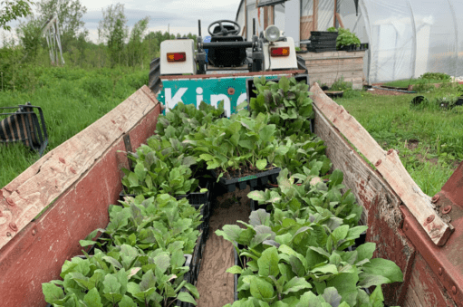 2_511x339_acf_cropped