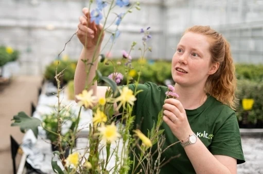 Elev på gartner uddannelse der passer blomsterne i drivhuset på skolen